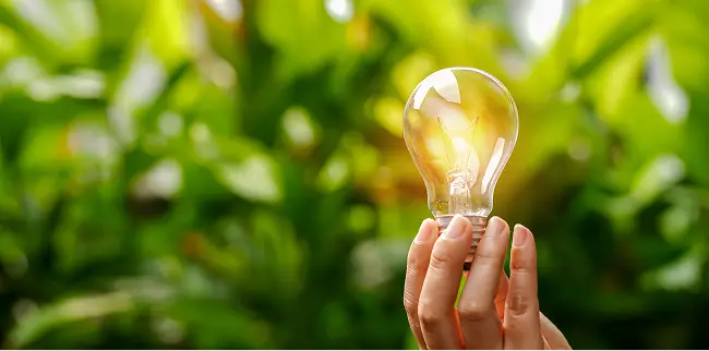 Hand hält eine leuchtende Glühbirne vor einem unscharfen grünen Pflanzenhintergrund. Das warme Licht der Glühbirne steht im Vordergrund.