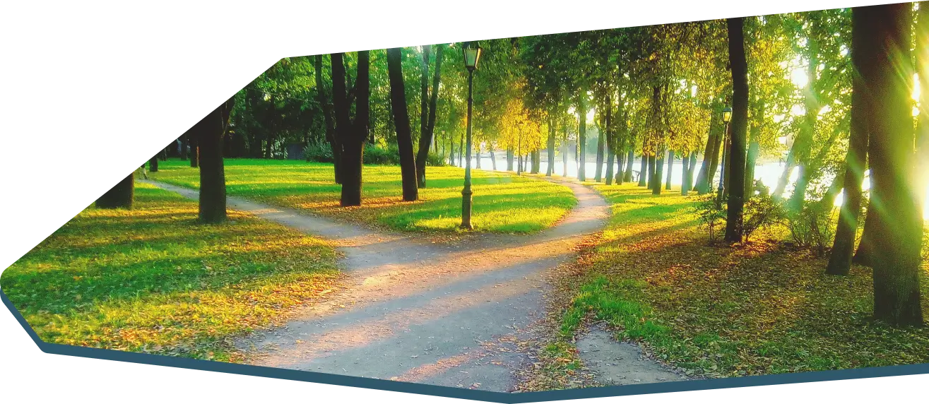 Das Bild zeigt einen sonnendurchfluteten Park mit einem Weg, der sich in zwei Richtungen teilt, umgeben von hohen Bäumen und grüner Wiese.