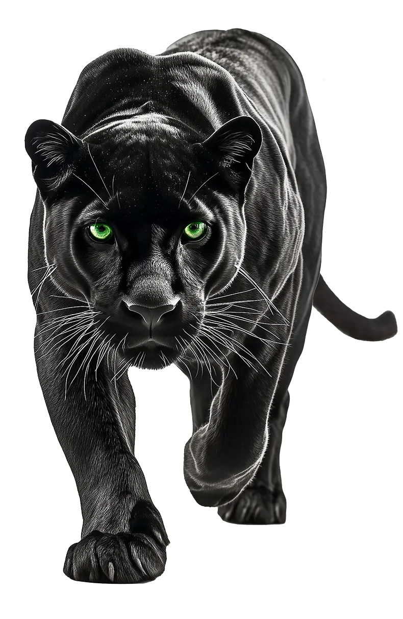 Ein schwarzer Panther mit leuchtend grünen Augen läuft direkt auf den Betrachter zu.