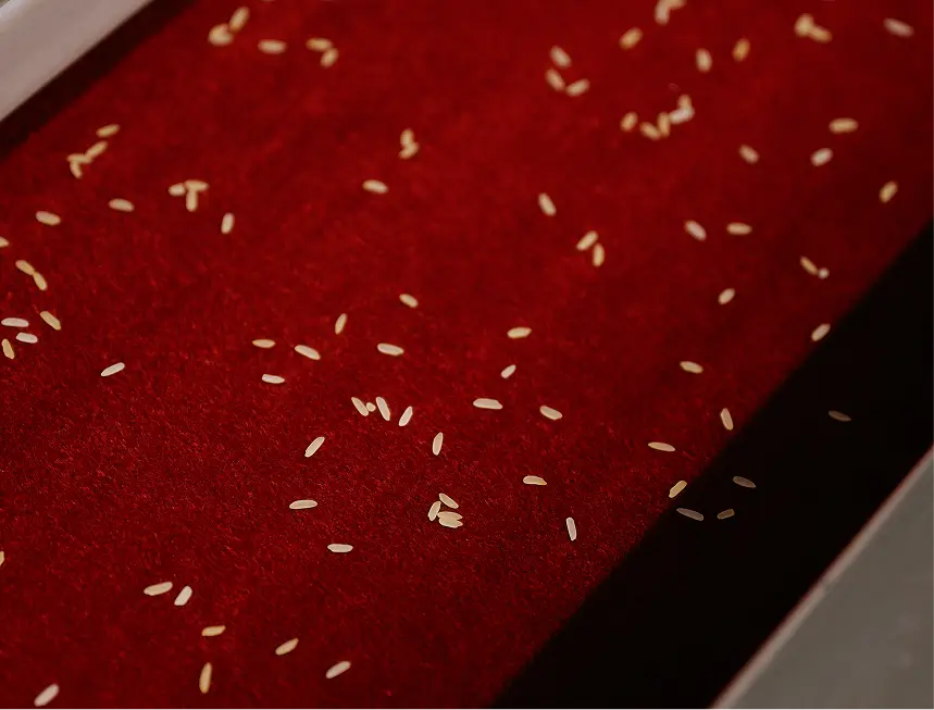 Einzelne Reiskörner liegen verstreut auf rotem Teppichboden