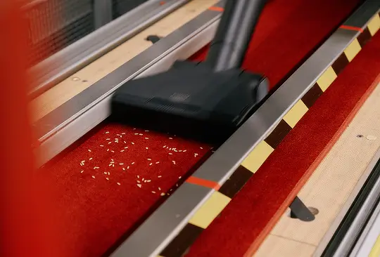 Schwarzer Staubsauger saugt Reiskörner von rotem Teppich in Testanlage mit gelb-schwarzer Markierung