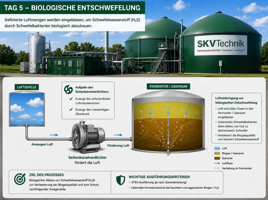 Biologische Entschwefelung durch ATEX-Seitenkanalverdichter