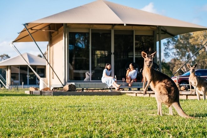 Die in Cootharaba in der Region Queensland gelegene Unterkunft Habitat Noosa