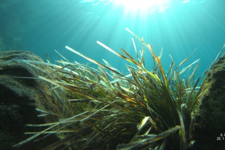 Beispiel Bild 800 x 450